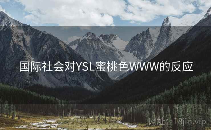 国际社会对YSL蜜桃色WWW的反应