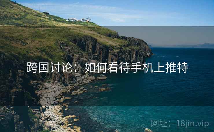 跨国讨论：如何看待手机上推特  第2张