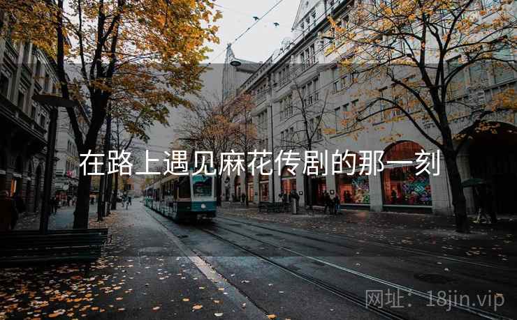 在路上遇见麻花传剧的那一刻