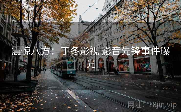 震惊八方：丁冬影视 影音先锋事件曝光